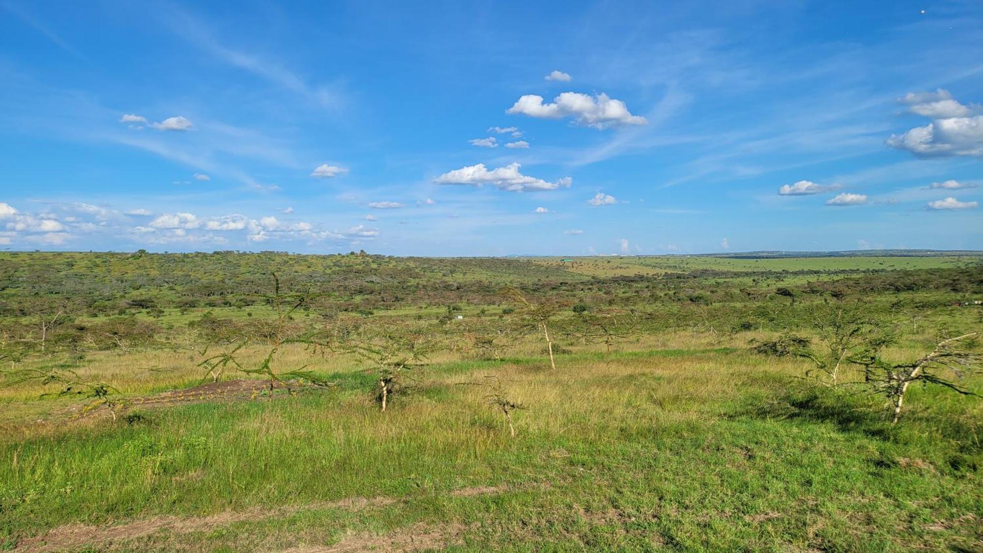 Rockview Cabins - Kajiado 外观 照片